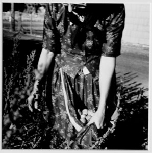 Image description is not available for 2000.014